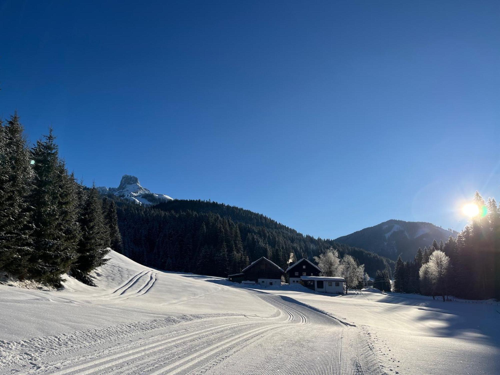 Plaik-Haeusl Villa Annaberg im Lammertal Kültér fotó