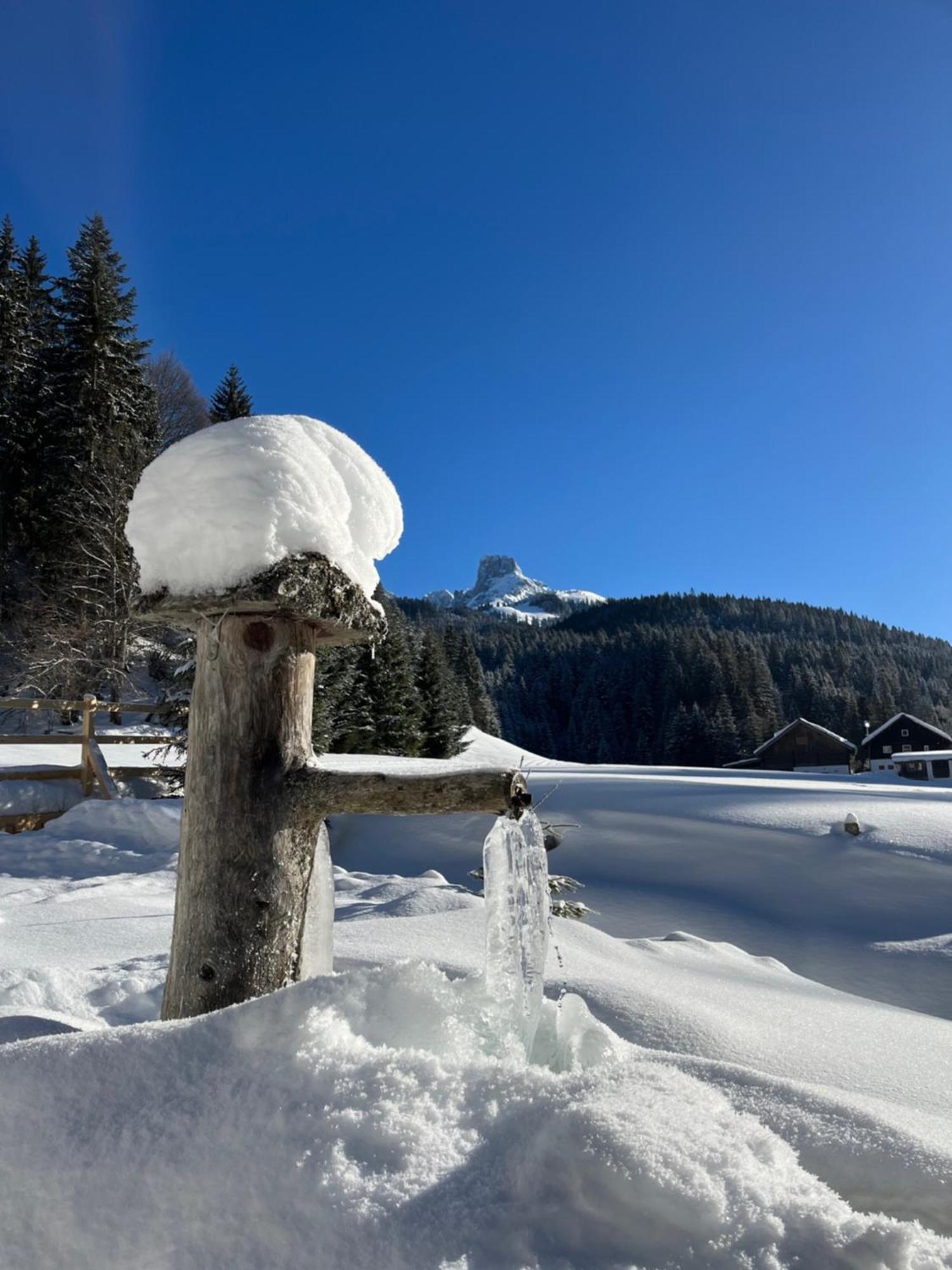 Plaik-Haeusl Villa Annaberg im Lammertal Kültér fotó